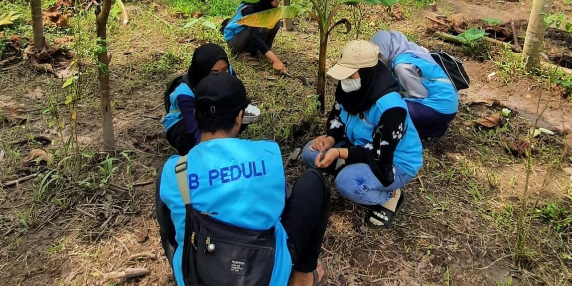 Mahasiswa MBKM Semeru Tanam Bunga Matahari untuk Bantu Keberlangsungan Taman Baca